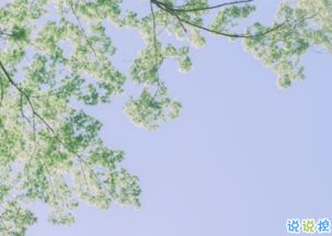 正能量調皮的句子