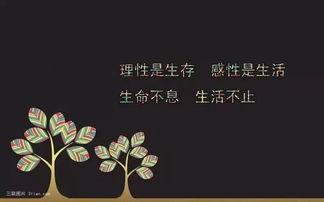 朋友圈正能量句子大全唯美,銷售朋友圈正能量經(jīng)典句子,早安的朋友圈句子大全正能量