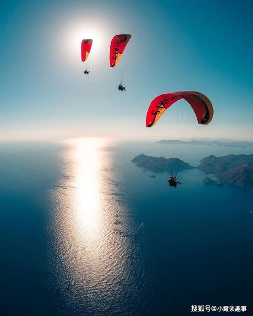 正能量心態(tài)向陽的句子