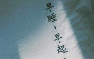 只想要正能量不想要負(fù)能量的句子