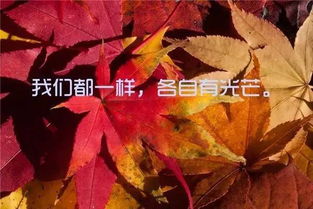 晚安好夢的句子,一句話晚安好夢的句子,晚安好夢的唯美句子