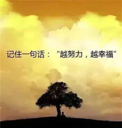 傳遞正能量的句子有哪些