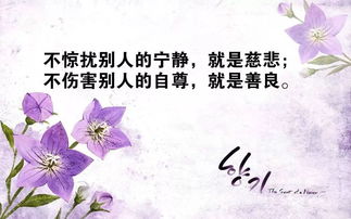 贊美他人正能量的句子