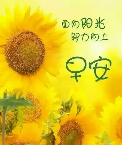 早安,句子,心語,能量