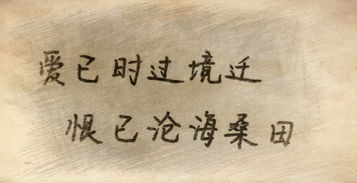 形容既憤怒又正能量不失高雅的句子