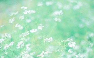 養(yǎng)生的正能量句子,堅(jiān)持養(yǎng)生的正能量句子,美容養(yǎng)生正能量的句子