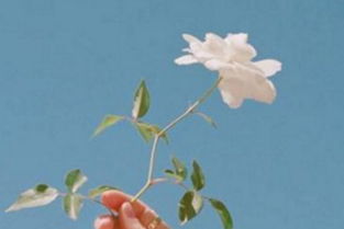 適合小學生正能量句子短