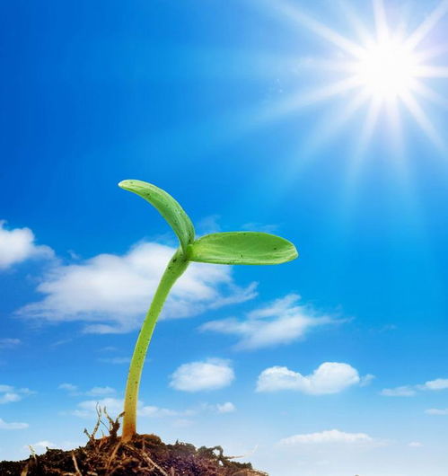 關(guān)于堅強的正能量句子說說心情短語