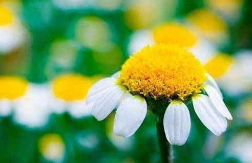 簡短,句子,能量,女孩