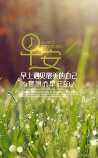努力早安正能量的句子