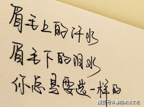 句子,能量,簽名