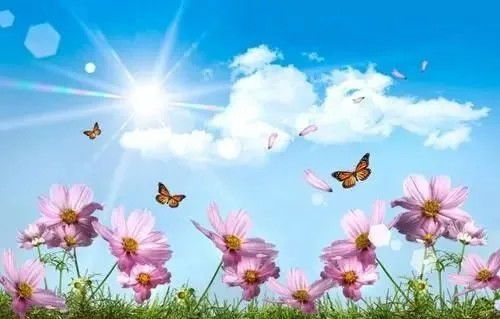 游泳正能量的句子短句,生活美好正能量的句子經(jīng)典短句,美好的句子正能量陽光短句