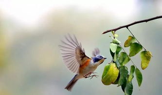 形容積極向上正能量的句子,形容團(tuán)隊(duì)精神正能量的句子,形容晚安正能量的句子