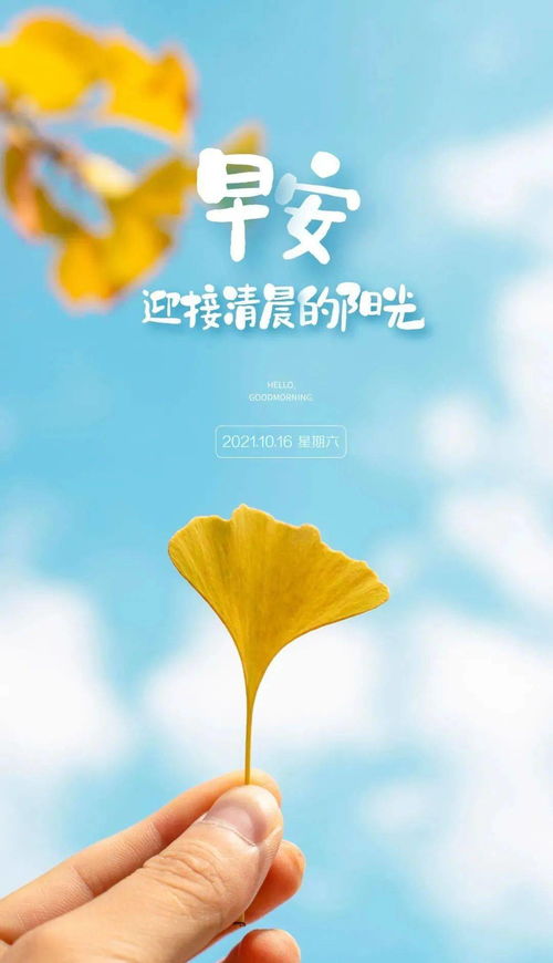 早安心語(yǔ)正能量句子問(wèn)候語(yǔ)簡(jiǎn)短