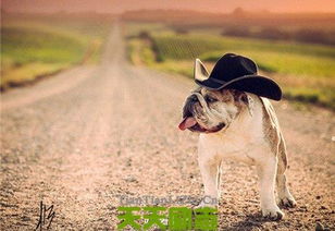 激勵(lì)上進(jìn)正能量句子學(xué)生