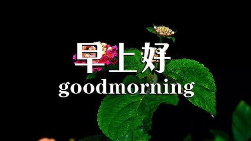 下雨正能量的句子朋友圈,早上滿滿的正能量句子,下雨早安語(yǔ)錄正能量的句子