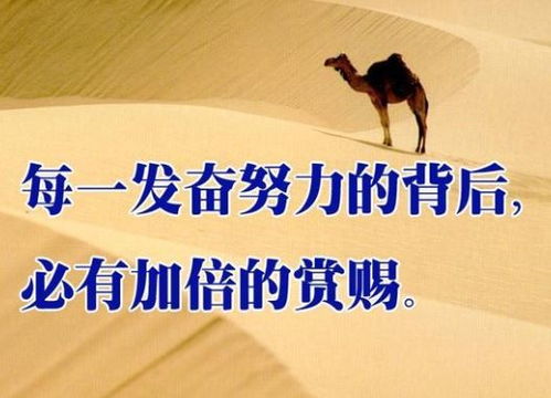 正能量句子勵(lì)志短句子名人名言