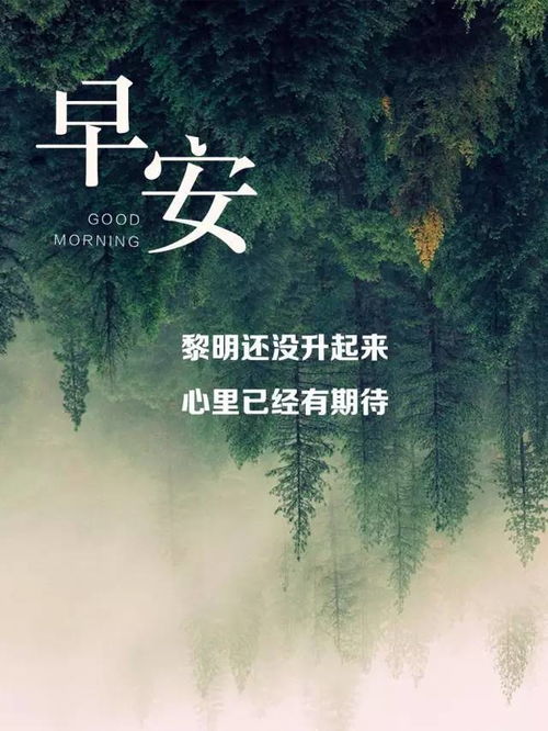 早安正能量激勵員工句子