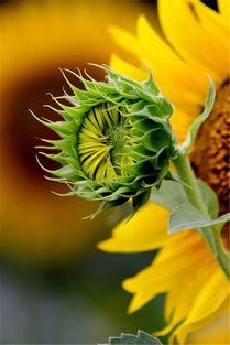 正能量貴于堅(jiān)持的句子