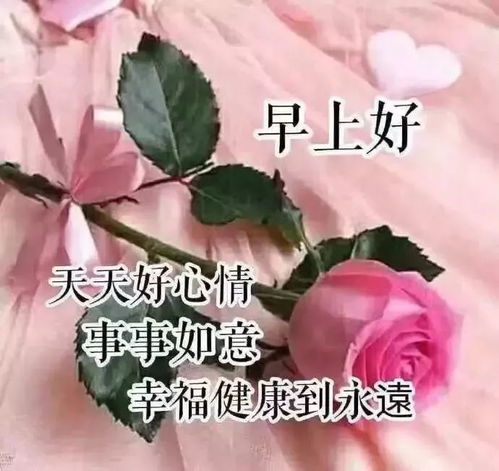 早上好祝福語(yǔ)優(yōu)美句子正能量