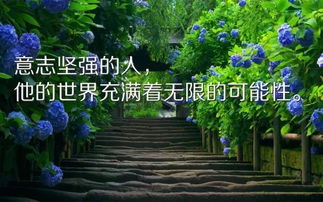 加班工作正能量的勵(lì)志句子