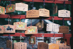 負能量正能量的句子經(jīng)典語錄