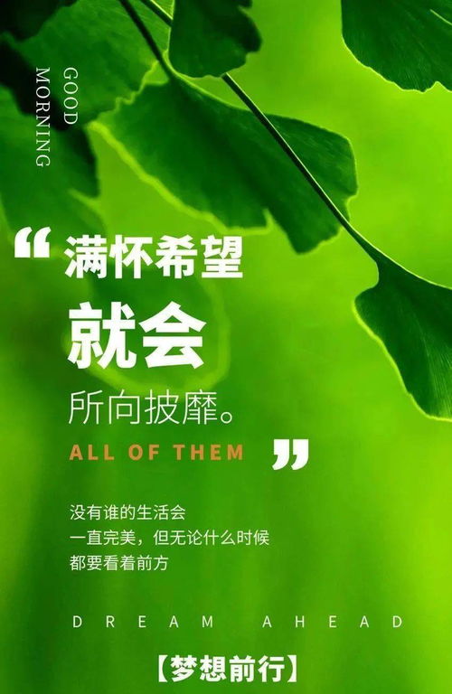 問好,句子,能量