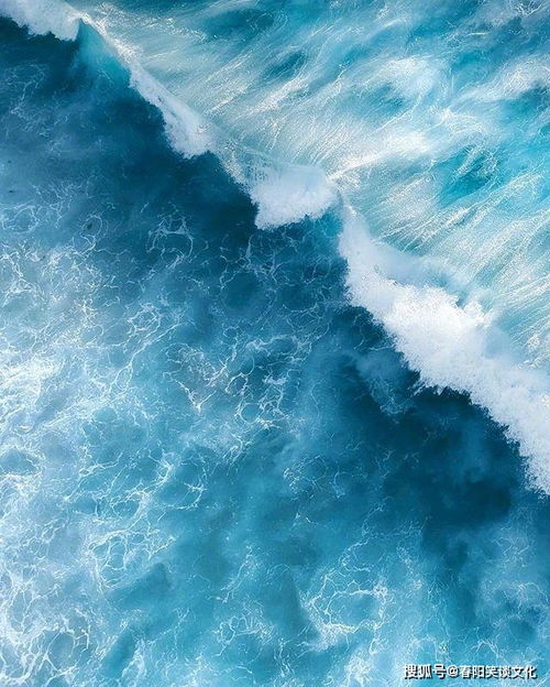 引人矚目,句子,能量