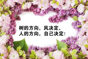 句子,能量,幸運(yùn)