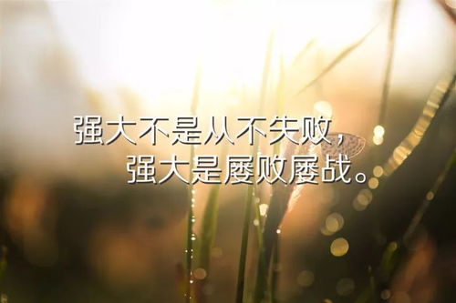 工作勵志的句子正能量帶字