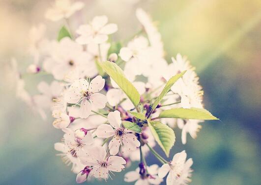 往事的正能量句子