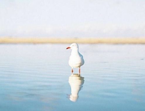 抖音拼搏奮斗正能量的句子