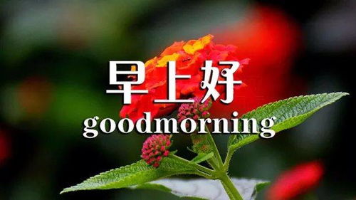 短語(yǔ),句子,早上好,能量