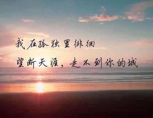 句子,能量,評論