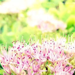 午安,簡(jiǎn)短,句子,能量