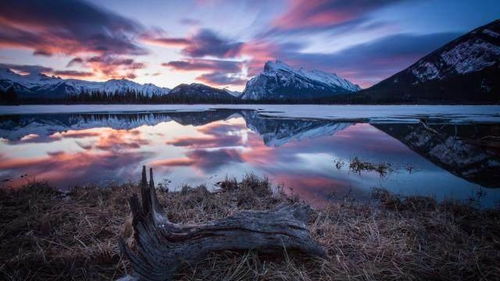 幼兒園激勵(lì)團(tuán)隊(duì)正能量的句子