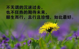 句子,能量,為人處事