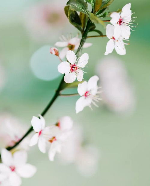 句子,能量,惜緣