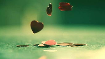 認(rèn)識你的正能量的句子