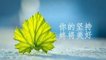 充滿陽(yáng)光的句子英文正能量的女人