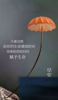 小學(xué)生正能量的句子經(jīng)典短句