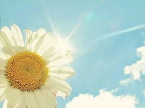 幫助別人渡過難關(guān)正能量的句子