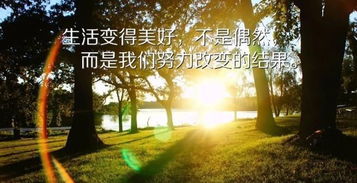 英文,句子,能量,每日