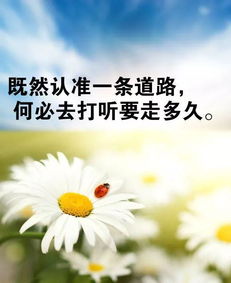 努力奮斗早安正能量的句子,努力奮斗早安正能量的句子簡(jiǎn)單,早安正能量的句子努力堅(jiān)持的