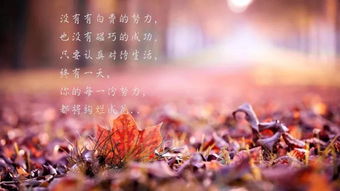 正能量朋友圈說(shuō)說(shuō)的好句子配圖,朋友圈說(shuō)說(shuō)的好句子正能量短句,早安正能量的朋友圈說(shuō)說(shuō)的句子