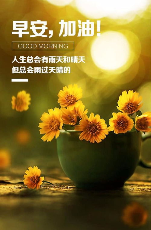 帶字的正能量句子大全