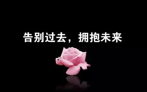 發(fā)朋友圈的句子正能量,人生正能量的經(jīng)典句子發(fā)朋友圈,適合發(fā)朋友圈的句子正能量