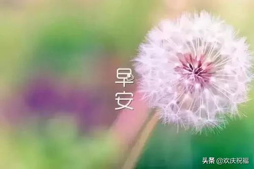 星期一早安正能量句子