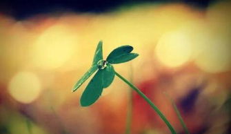 積極努力工作正能量的句子,2021努力工作正能量的句子,女人努力工作正能量的句子