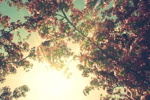 正能量的句子簡短文藝